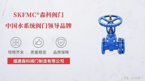 伸縮軟密封閘閥 知名生產廠家與技術服務的綜合解析