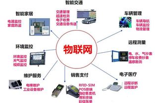 高考之后，專業抉擇 為何說計算機網絡工程是通往未來的關鍵一步